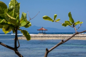 Villa Jahe Sanur